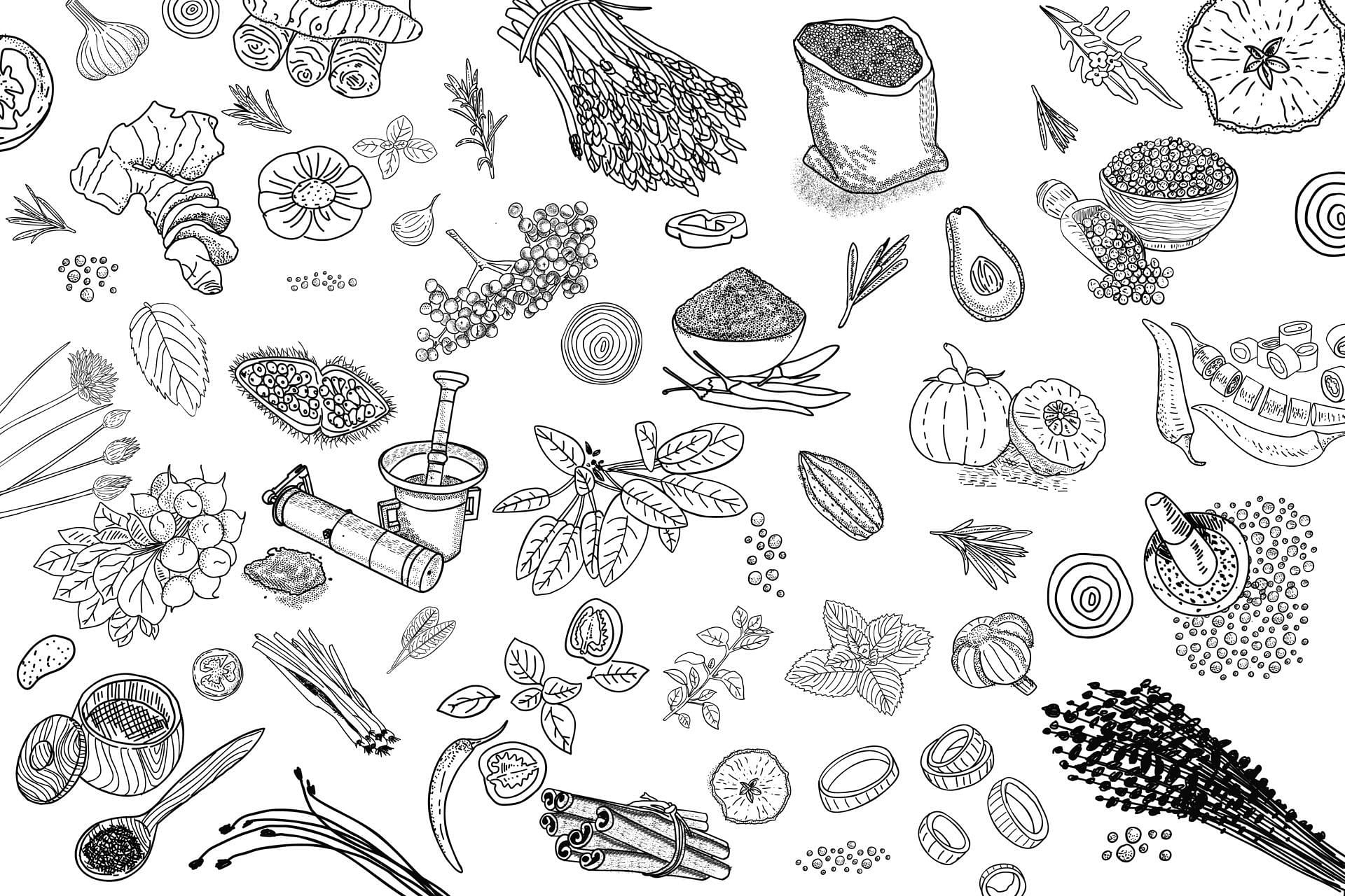 Along with the medicinal uses of rosemary, other herbs and spices are also used for mental health. (Image via Vecteezy/ hakan kaçar)